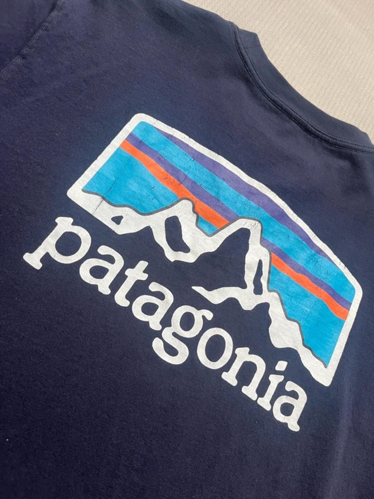 Patagonia Men's Fitz Roy Horizons Long Sleeve Responsibili-Tee - Navy Blue, Medium